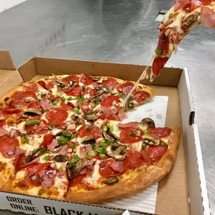 a hand holding a slice of pizza