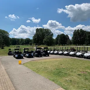 Ride or walk. Pull carts also available. #UpCloseSavor XP