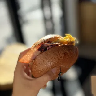 a person holding a hot dog