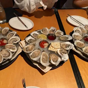 Oysters