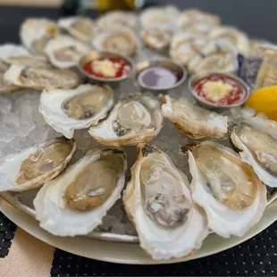 a plate of oysters