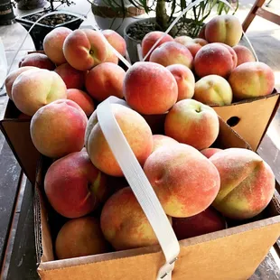Pick your own peach $10/bushel