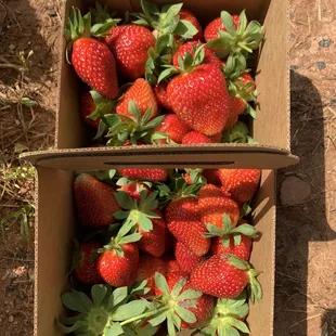 We were just getting started!