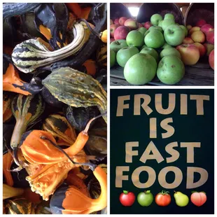 Fall @ Black's Peaches