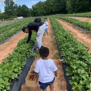 Just my guys picking the best!