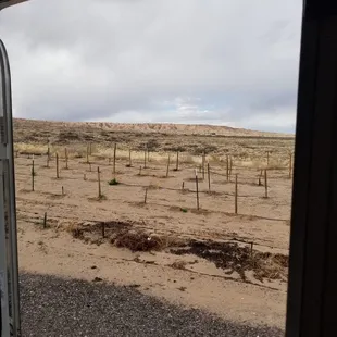 Looking out my camper