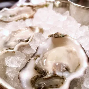 Oyster from NZ is really To Die For GOOD!