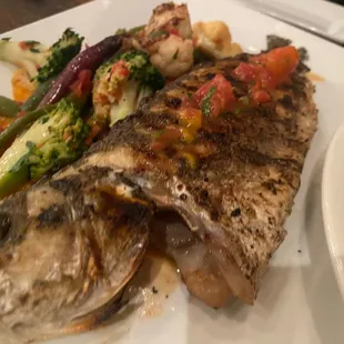 Black Cod