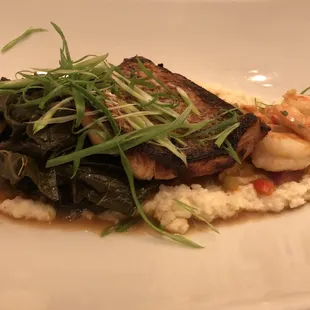 Red Snapper
