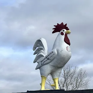 Giant Chicken!