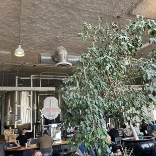 Bar and seating, lots of plants, tables, seats, and light