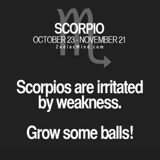Scorpio S.
