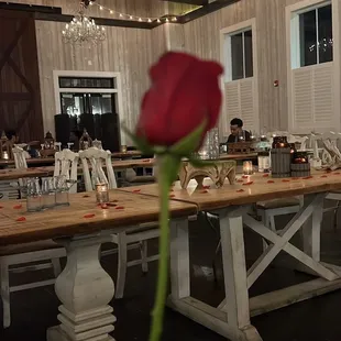 Complimentary Rose given on Vday