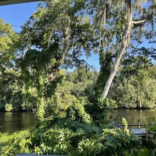 River view from the deck.