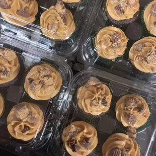 Reese Peanut Butter Cupcakes