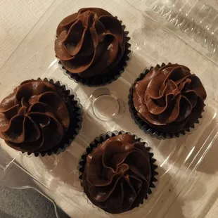 Chocolate Cupcakes