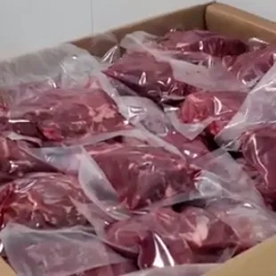 Kangaroo tenderloins