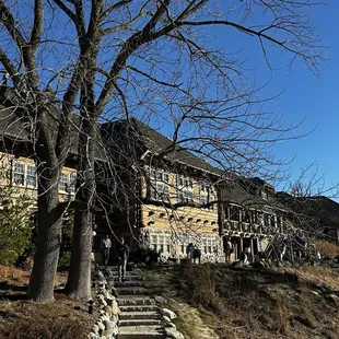 Black wolf restaurant/bar