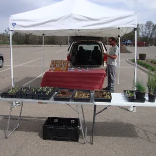 Small plants and organic oils, balms, salves, creams, etc.