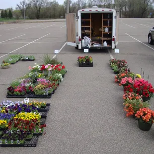 Pretty impressive for May 5th - a huge variety of potted plants from Lone Wolf Nursery!