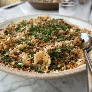 Spaghetti Bolognese- flavorless for $25