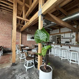 a plant in a pot in the middle of a room