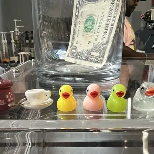 a variety of birds
