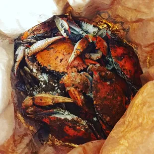My bag of crabs when I got home