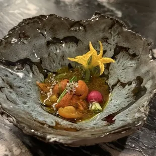 Sea urchin 10/30/2024