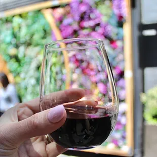 The Cabernet Sauvignon was Blanchard Family Wines from Alexander Valley - this was my favorite. The Cab Sauv was a beautiful purplish red.