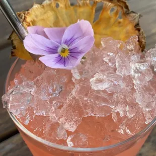 Tom's Porch which Kierre invented for me!