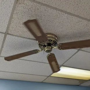 Fan on the ceiling. Helpful in this 100+ degree heat!