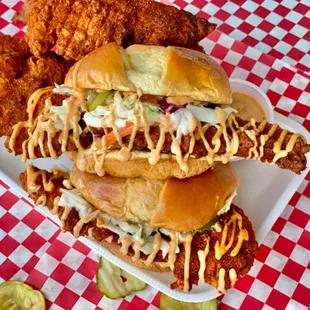 Blazing Bird - Englewood
