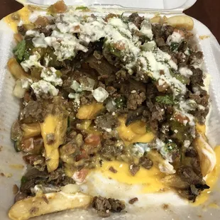 Fries with Carne Asada