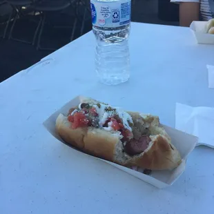 Sanoran dog!