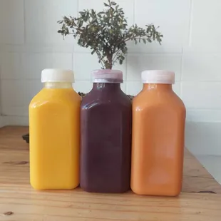 Three of our best selling, cold-pressed juices!