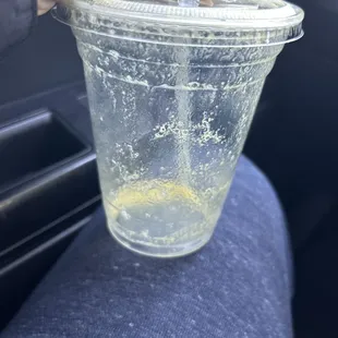 The remains of a 17. Tropical tantalizer smoothie