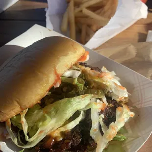 Burger &amp; fries (taste &amp; presentation 2/5) &amp; large fries (pretty small for being "large")