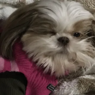 M M.