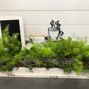 Wooden Carpenter box. 6 assorted plants with gingham bow.