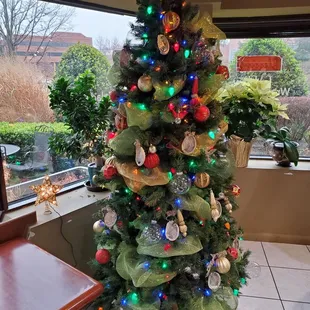 Christmas Tree