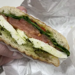 Fresh Mozzarella Panini