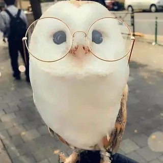 G. W.
