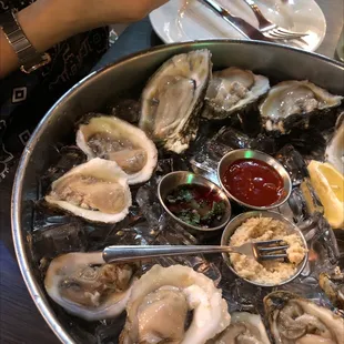 Half are Texas Gulf Coast oyster and the others are Blue Point Connecticut.