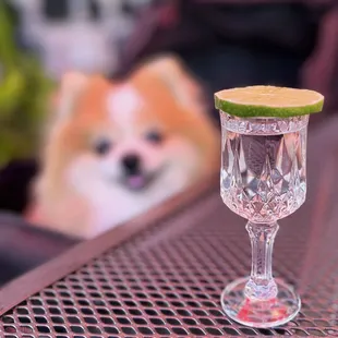 Casamigos Blanco | $18 (dog-friendly front patio)