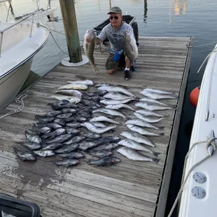 Tilefish and sea bass
