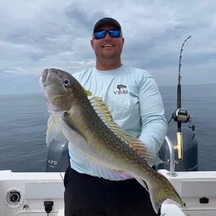 My first Golden Tilefish!