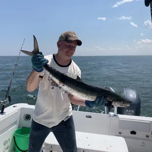 King Mackerel