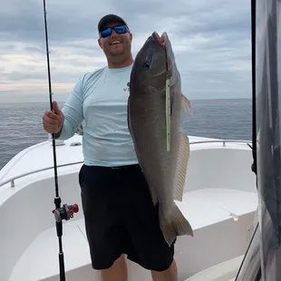 My Blueline Tilefish Citation!