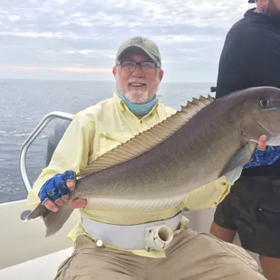 Citation Blueline Tilefish!